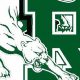Ramapo High School Football: A Legacy of Excellence | Best Schools in America: Top Public & Private Options
