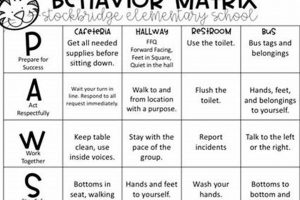 Best Behavior Programs for Elementary Private Schools | Best Schools in America: Top Public & Private Options