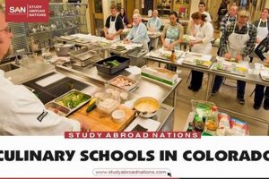 Top 5 Culinary Schools in Colorado 2024 | Best Schools in America: Top Public & Private Options
