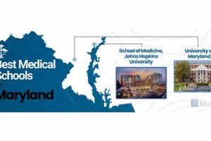 Top Medical Schools in Maryland: A 2024 Guide | Best Schools in America: Top Public & Private Options