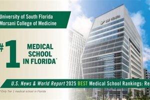 Top Med Schools in Florida: 2024 Guide | Best Schools in America: Top Public & Private Options