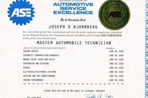 Top ASE Certification Schools & Training Programs | Best Schools in America: Top Public & Private Options