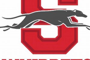 Shelby High Football: 2024 Schedule &amp; Season Preview | Best Schools in America: Top Public & Private Options