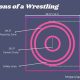 Official High School Wrestling Mat Size Guide | Best Schools in America: Top Public & Private Options