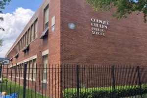 Best Countee Cullen Elementary School: A Guide | Best Schools in America: Top Public & Private Options