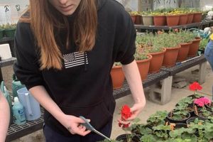 Top Best Horticulture Schools & Programs 2024 | Best Schools in America: Top Public & Private Options