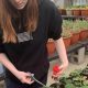 Top Best Horticulture Schools & Programs 2024 | Best Schools in America: Top Public & Private Options