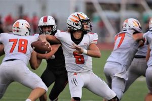 Rickmore High Football: Home of the Wildcats | Best Schools in America: Top Public & Private Options