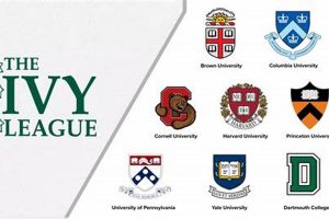 Top Ivy League Law Schools: Best Guide Best Schools in America: Top Public & Private Options Top Ivy League Law Schools: Best Guide | Best Schools in America: Top Public & Private Options