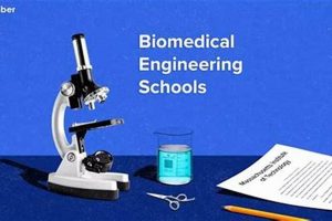 Top 10 Best Biological Engineering Schools & Programs Best Schools in America: Top Public & Private Options Top 10 Best Biological Engineering Schools & Programs | Best Schools in America: Top Public & Private Options