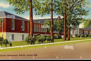 Top Elementary Schools in Laurel, MD: A Guide Best Schools in America: Top Public & Private Options Top Elementary Schools in Laurel, MD: A Guide | Best Schools in America: Top Public & Private Options