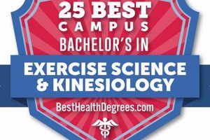 Top 10 Best Kinesiology Schools: 2024 Guide | Best Schools in America: Top Public & Private Options
