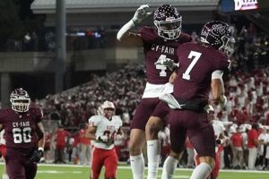 Top Houston High School Football Teams | Best Schools in America: Top Public & Private Options