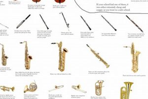 Best Instrument for School Band: A Guide | Best Schools in America: Top Public & Private Options