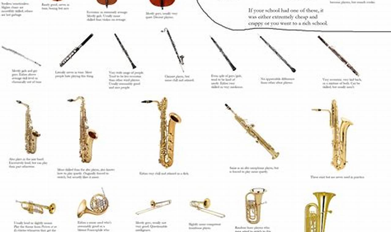 Best Instrument for School Band: A Guide