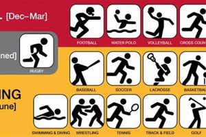 High School Sports Season Length: A Guide Best Schools in America: Top Public & Private Options High School Sports Season Length: A Guide | Best Schools in America: Top Public & Private Options