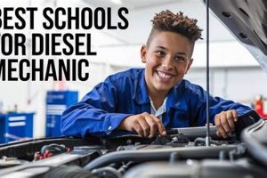 Top 5 Best Diesel Mechanic Schools: 2024 Guide | Best Schools in America: Top Public & Private Options