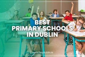 Top Elementary Schools in Dublin for 2024 Best Schools in America: Top Public & Private Options Top Elementary Schools in Dublin for 2024 | Best Schools in America: Top Public & Private Options