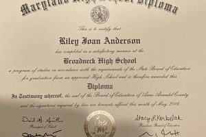 Adult High School Diploma Programs in NJ | Best Schools in America: Top Public & Private Options