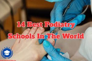 Top US Podiatry Schools: 2024 Guide | Best Schools in America: Top Public & Private Options