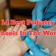 Top US Podiatry Schools: 2024 Guide | Best Schools in America: Top Public & Private Options