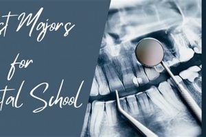 Top Undergraduate Majors for Dental School Success | Best Schools in America: Top Public & Private Options