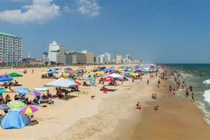 Top-Rated Schools in Virginia Beach, VA 2024 Best Schools in America: Top Public & Private Options Top-Rated Schools in Virginia Beach, VA 2024 | Best Schools in America: Top Public & Private Options