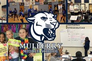 Top Mulberry Middle School: A Parent's Guide | Best Schools in America: Top Public & Private Options