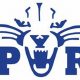 Prep for Deep Run High School Basketball Glory | Best Schools in America: Top Public & Private Options
