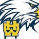 Walnut Hills High School Football: A Legacy of Excellence | Best Schools in America: Top Public & Private Options