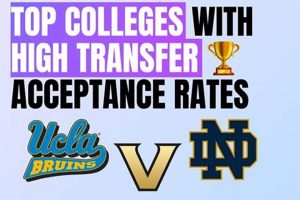 Best Colleges with High Transfer Acceptance Rates | Best Schools in America: Top Public & Private Options