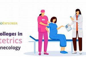 Top 10 Best Medical Schools for OBGYN Programs | Best Schools in America: Top Public & Private Options