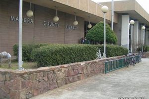 Madera County School Library Faire: A Book Lover's Paradise | Best Schools in America: Top Public & Private Options