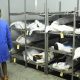 Top 5 Best Online Mortuary Schools & Programs | Best Schools in America: Top Public & Private Options