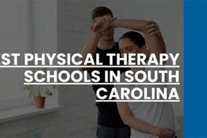 Top Physical Therapy Schools in SC: 2024 Guide | Best Schools in America: Top Public & Private Options