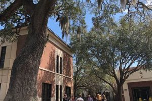 Top Private High Schools in Charleston, SC Best Schools in America: Top Public & Private Options Top Private High Schools in Charleston, SC | Best Schools in America: Top Public & Private Options