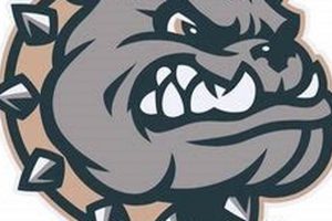 Dora High School Football: Home of the Bulldogs | Best Schools in America: Top Public & Private Options