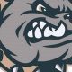 Dora High School Football: Home of the Bulldogs | Best Schools in America: Top Public & Private Options