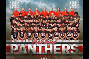 Pauls Valley High School Football: Home of the Panthers | Best Schools in America: Top Public & Private Options