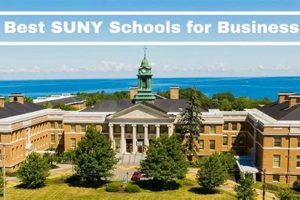 Top 5 Best SUNY Business Schools & Programs | Best Schools in America: Top Public & Private Options