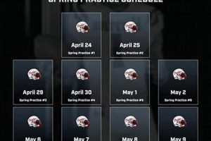 Ooltewah Owls Football: 2024 Schedule & Tickets | Best Schools in America: Top Public & Private Options