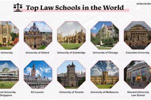 Top Law Schools for Employment Law: 2024 Guide Best Schools in America: Top Public & Private Options Top Law Schools for Employment Law: 2024 Guide | Best Schools in America: Top Public & Private Options