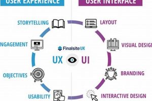 Top 10 Best User Experience Design Schools in 2024 | Best Schools in America: Top Public & Private Options