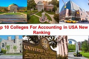 Top 10 Best Accounting Schools: 2024 Rankings | Best Schools in America: Top Public & Private Options