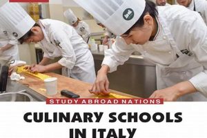 Top 5 Best Cooking Schools in Italy 2024 | Best Schools in America: Top Public & Private Options
