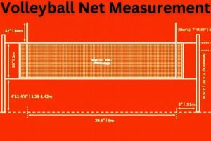 HS Volleyball Net Height: Official Rules & FAQs | Best Schools in America: Top Public & Private Options