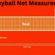 HS Volleyball Net Height: Official Rules & FAQs | Best Schools in America: Top Public & Private Options