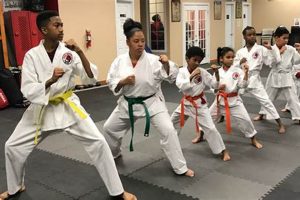 Top Martial Arts Schools Near Me: Find Your Best School | Best Schools in America: Top Public & Private Options