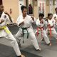 Top Martial Arts Schools Near Me: Find Your Best School | Best Schools in America: Top Public & Private Options