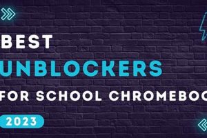 Top School Unblockers for Secure Access | Best Schools in America: Top Public & Private Options